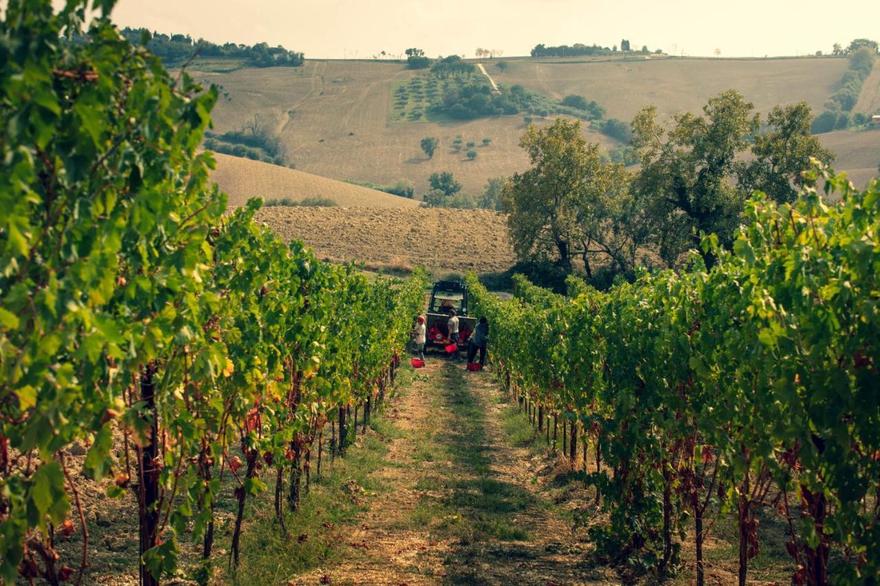 Filodivino Wine Resort & Spa San Marcello  Zewnętrze zdjęcie